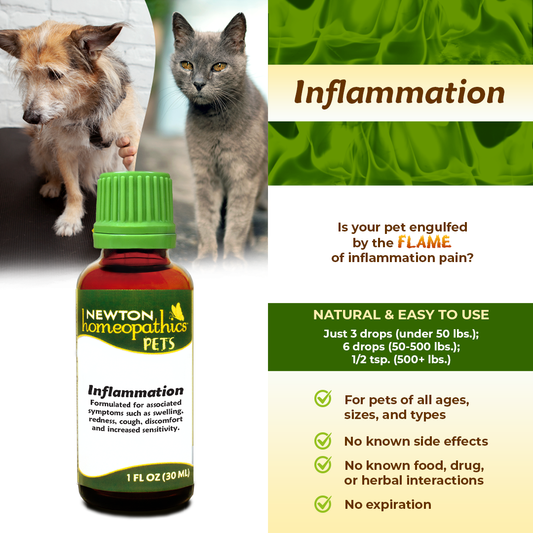 Inflammation - Pets