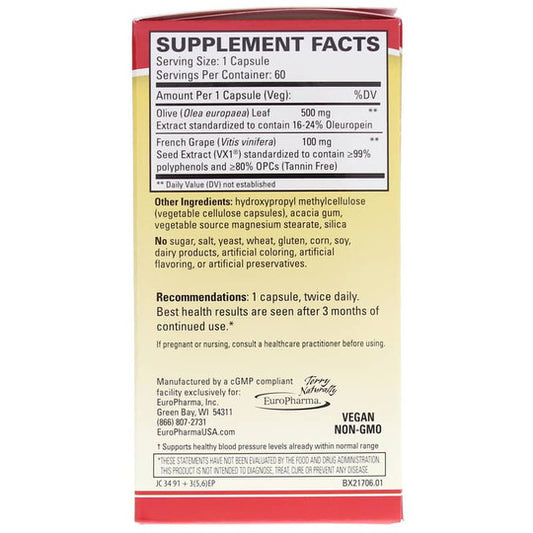 Blood Pressure Health