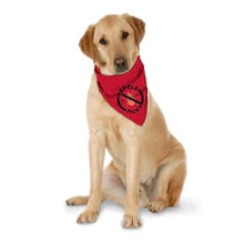 Tick Repelling Bandanas for Dogs