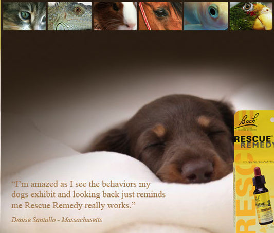 Bach RESCUE® Pets