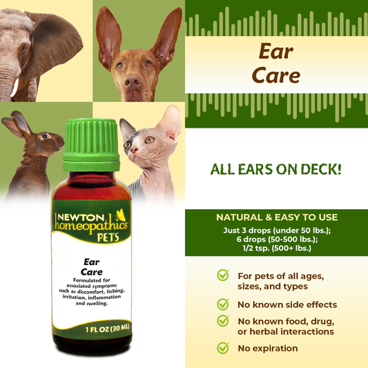 Ear Care - pets