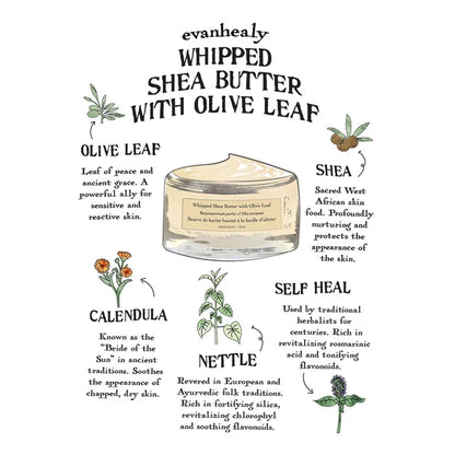 Whipped Shea Butter with Olive Leaf