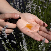 Rosehip Calming Facial Serum