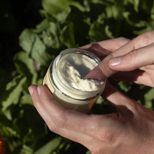 Whipped Shea Butter with Olive Leaf
