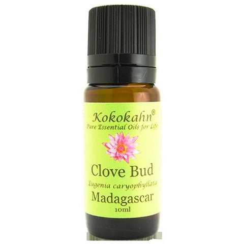 Clove bud essential oil