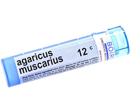 Agaricus Muscarius